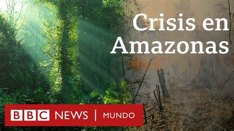 Por qué importa el Amazonas y lo que se sabe sobre cómo ...