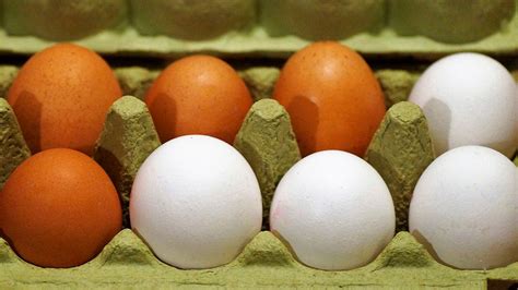 ¿Por qué los huevos cafés son más caros que los blancos? | La Opinión