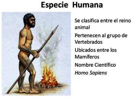 ¿Por qué los humanos pertenecemos al reino animal?   Reino ...