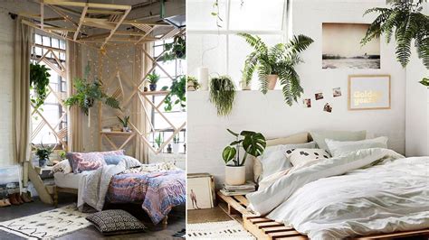¿Por qué no debemos dormir con plantas en un cuarto ...