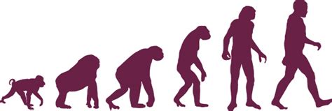 ¿Por qué no vemos a monos evolucionando en seres humanos?