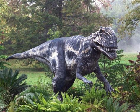 ¿Por qué se extinguieron los dinosaurios?   Muy Interesante