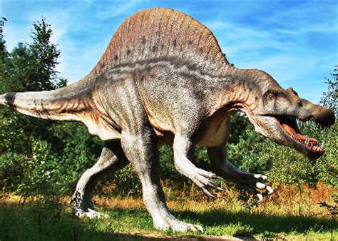 ¿Por qué se han descubierto tantos dinosaurios en ...