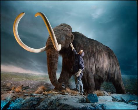 ¿Por qué se han encontrado tantos mamuts intactos en Siberia? ¿Qué ...