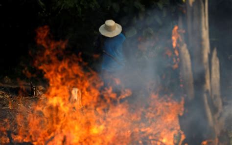 ¿Por qué se quema el Amazonas?