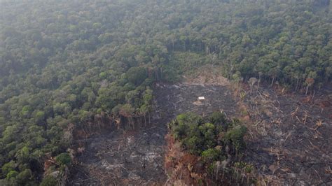 ¿Por qué se quema la Amazonia?   RT