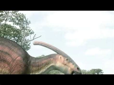 Porque desaparecieron los dinosaurios   YouTube