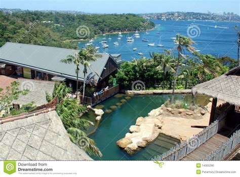Porto E Jardim Zoológico De Sydney Foto de Stock   Imagem ...