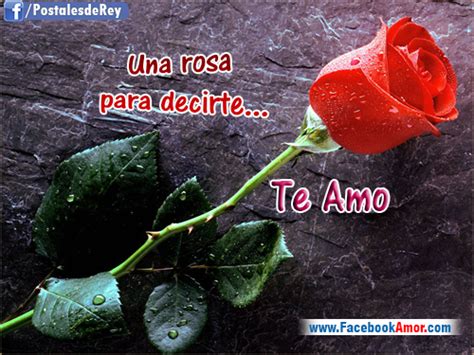 Postales de amor con rosa roja   Imágenes Bonitas de Amor | Frases para ...