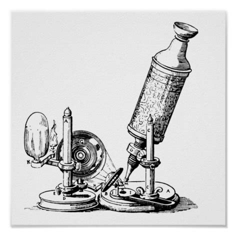 Poster Le microscope de Robert Hooke | Zazzle.fr