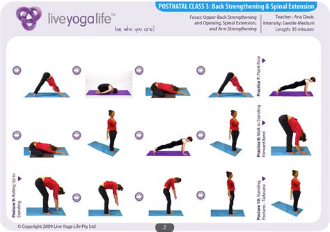 Postnatal Yoga Complete Set  Classes 1 to 8  | Live Yoga Life