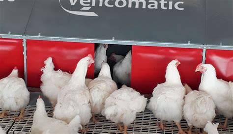 Poultry housing: Vencomatic Nest Condor   Vencomatic Group
