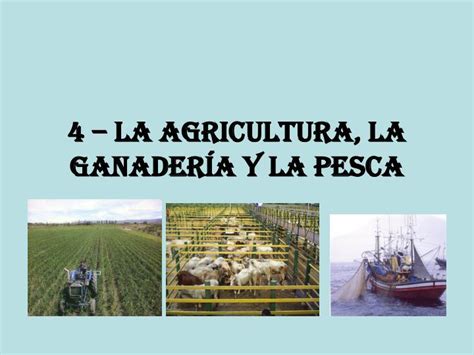 PPT   4 – la agricultura, la ganadería y la pesca ...