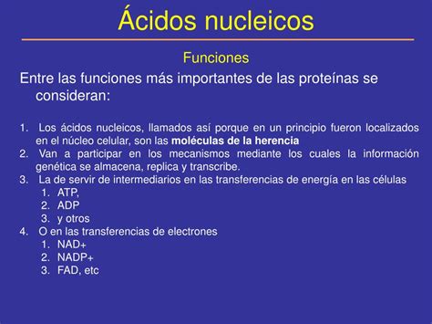 PPT   Ácidos nucleicos PowerPoint Presentation, free download   ID:3582630