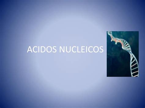 PPT   ACIDOS NUCLEICOS PowerPoint Presentation, free download   ID:7001232