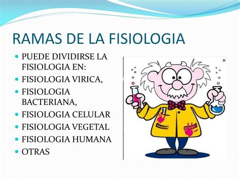 PPT   BASES GENERALES DE LA FISIOLOGIA PowerPoint Presentation, free ...