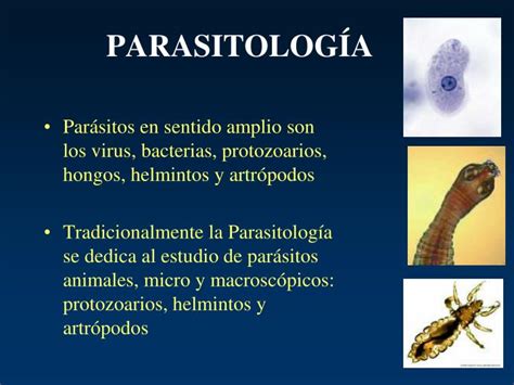 PPT   BIOLOGÍA DEL PARASITISMO PowerPoint Presentation   ID:4186625