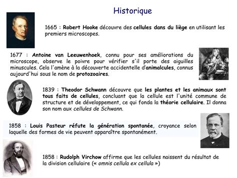 PPT   Biologie Cellulaire PowerPoint Presentation, free ...