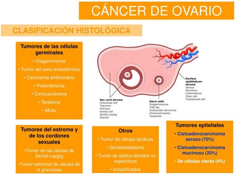 PPT   Cáncer de ovario PowerPoint Presentation, free download   ID:3516911