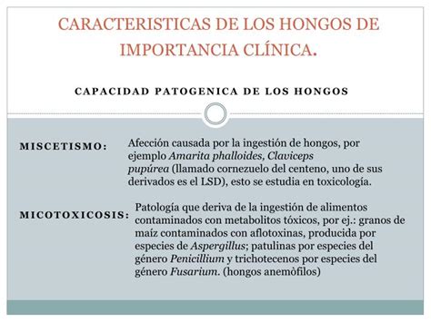 PPT   CARACTERISTICAS DE LOS HONGOS DE IMPORTANCIA CLÍNICA ...