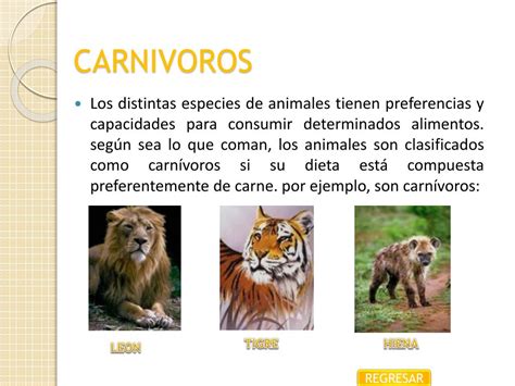 PPT   CLASIFICACIÓN DE LOS ANIMALES PowerPoint Presentation, free ...