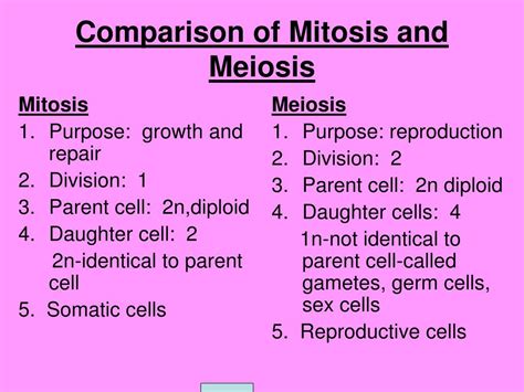 PPT   Comparison of Mitosis and Meiosis PowerPoint Presentation   ID:237753