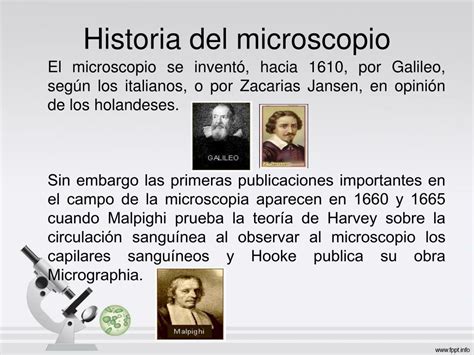 PPT   EL MICROSCOPIO PowerPoint Presentation   ID:2155265