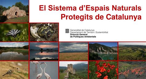 PPT   El Sistema d’Espais Naturals Protegits de Catalunya PowerPoint ...