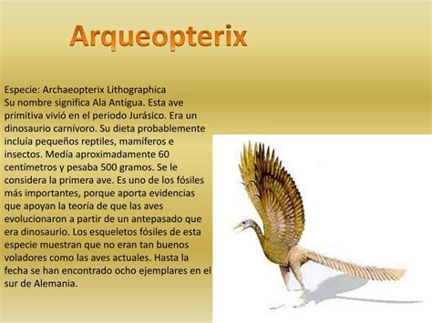 PPT   Especies gigantes de dinosaurios voladores como los ...