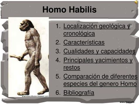 PPT   homo habilis PowerPoint Presentation, free download ...