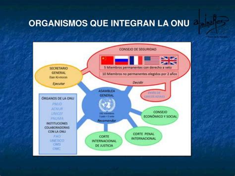 PPT   LA ONU ORGANIZACIÓN DE LAS NACIONES UNIDAS ...