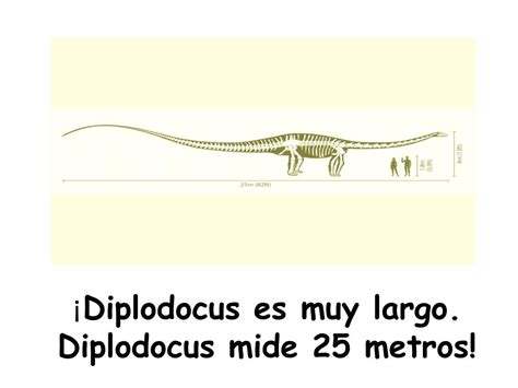 PPT   ¡ Los dinosaurios! PowerPoint Presentation, free download   ID ...
