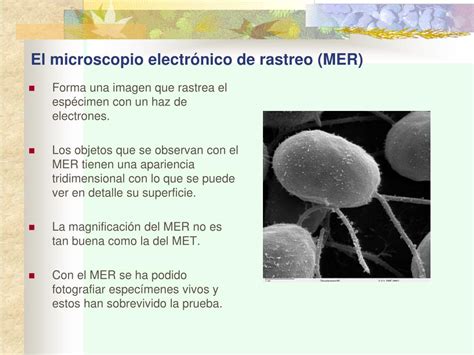 PPT   Métodos para estudiar las células PowerPoint ...