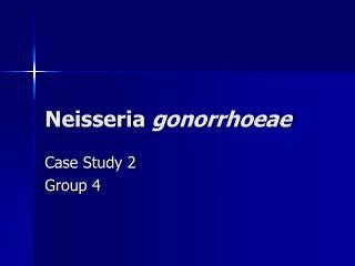 PPT   Neisseria N. gonorrhoeae  gonococcus : gonorrhea N ...