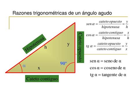PPT   Razones trigonométricas de un ángulo agudo ...