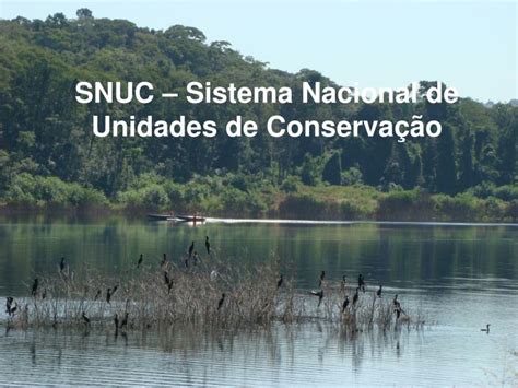 PPT   SNUC – Sistema Nacional de Unidades de Conservação PowerPoint ...