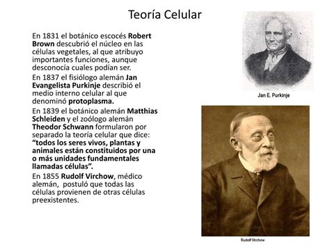 PPT   Teoría Celular PowerPoint Presentation, free ...