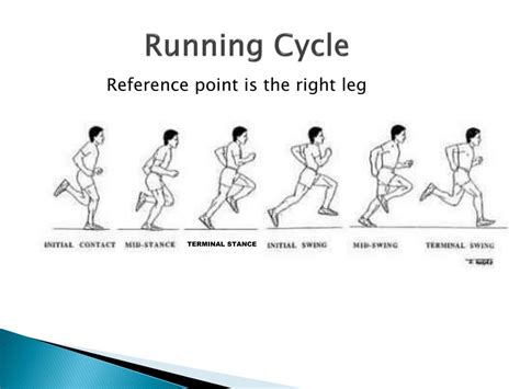 PPT   The Anatomy of Running Mechanics PowerPoint ...