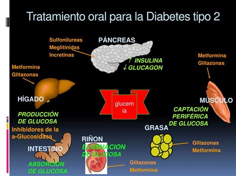 PPT   Tratamiento Combinado con antidiabeticos orales ...