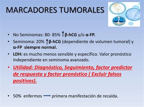 PPT   TUMORES GERMINALES PowerPoint Presentation, free download   ID ...