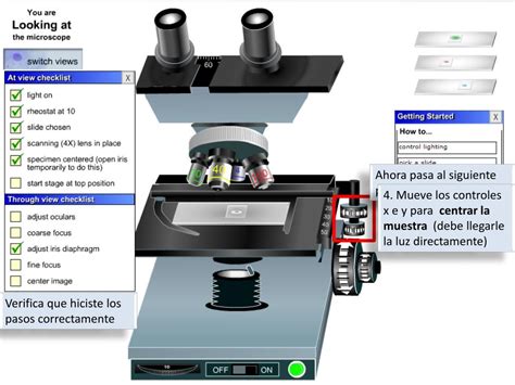 PPT   Uso del microscopio PowerPoint Presentation, free ...