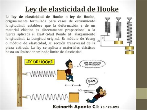 Practica ley de hooke | PROFEDEBIOANTONIAHERRERA