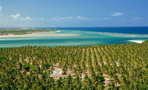 Praia do Gunga, Alagoas, Brasil | Maceio fotos, Viagens ...