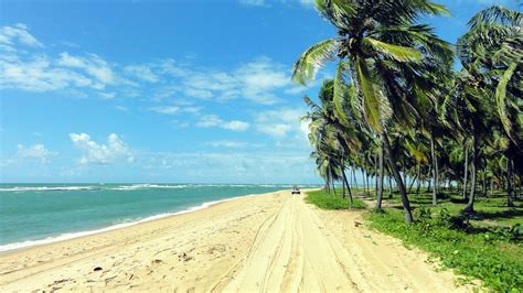 Praia do Gunga   Maceió, Alagoas  by promoção de passagens ...