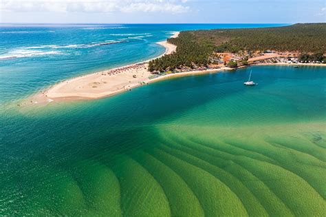 Praia do Gunga   Maceió Alagoas