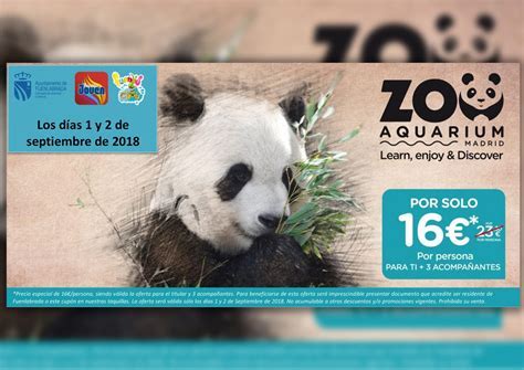 Precio Del Zoo De Madrid   SEO POSITIVO