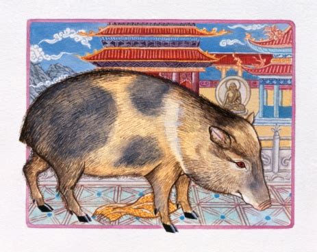 Predicciones del horóscopo chino 2016 para el signo Cerdo ...