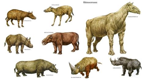 Prehistoric animals, Extinct animals, Animals extinct