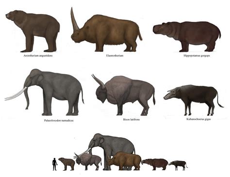 Prehistoric megafaunal mammals 2 by https://www.deviantart.com ...