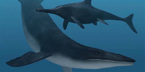 Prehistoric Sea Creatures Were Black, Fossil Pigments Show | HuffPost